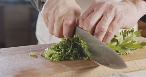 Lento movimento del coltello dello chef affettare foglie di sedano — Video Stock