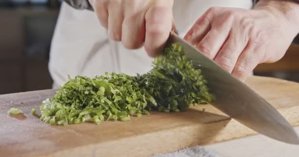 Lento movimento del coltello dello chef affettare foglie di sedano — Video Stock