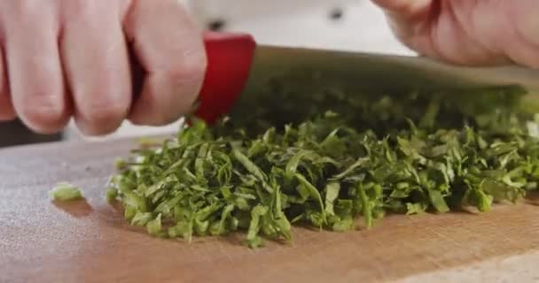 Slow motion of chef knife slicing celery leaves — 비디오