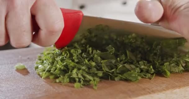 Slow motion of chef knife slicing celery leaves — 비디오