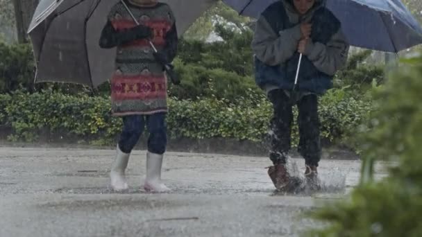 Niño y una chica saltando con paraguas bajo la lluvia en cámara lenta — Vídeo de stock