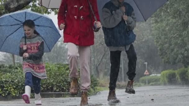 Trois enfants qui courent heureux sous la pluie et des flaques d'eau avec des parasols — Video