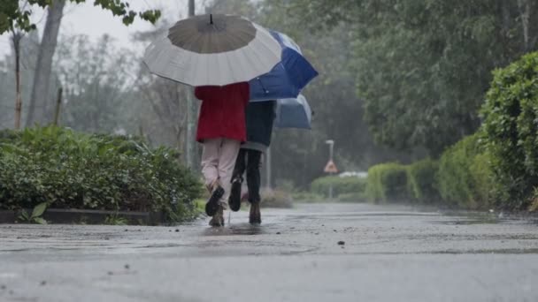 Três crianças correndo felizes na chuva e poças com guarda-chuvas — Vídeo de Stock