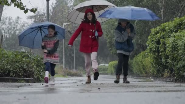 Three kids running happy in the rain and puddles with umbrellas — Stock Video