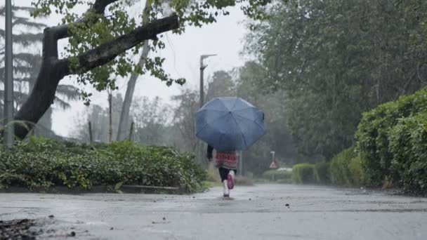 Slow motion of a little girl skipping in puddles holding an umbrella in the rain — Stock Video