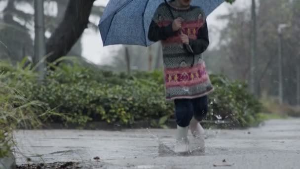 Mouvement lent d'une petite fille sautant dans les flaques tenant un parapluie sous la pluie — Video