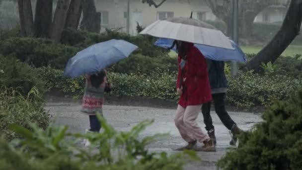 Дети под проливным дождем весело прыгают с зонтиками - замедленная съемка — стоковое видео