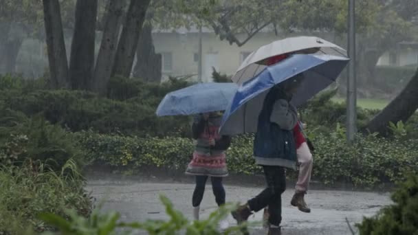 Les enfants sous la pluie battante s'amusent à sauter avec des parasols au ralenti — Video