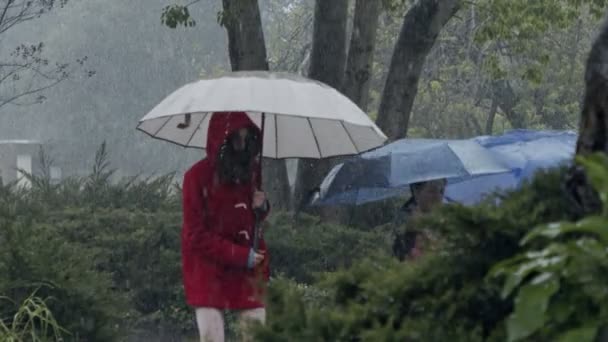 Crianças na chuva torrencial se divertindo pulando com guarda-chuvas - câmera lenta — Vídeo de Stock