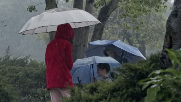 Barn i ösregnet som har roligt när de hoppar med paraplyer - slow motion — Stockvideo