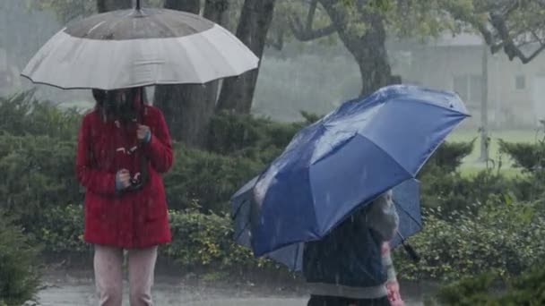 Crianças na chuva torrencial se divertindo pulando com guarda-chuvas - câmera lenta — Vídeo de Stock