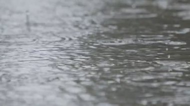 Yavaş hareket eden yağmur damlaları su birikintisine düşer ve su sıçrar.