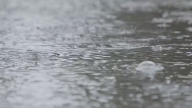 Yavaş hareket eden yağmur damlaları su birikintisine düşer ve su sıçrar.
