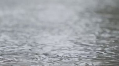 Yavaş hareket eden yağmur damlaları su birikintisine düşer ve su sıçrar.