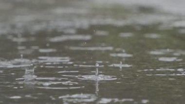 Yavaş hareket eden yağmur damlaları su birikintisine düşer ve su sıçrar.