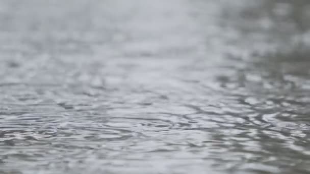 Movimento lento de gotas de chuva caindo em uma poça de água com água salpicando — Vídeo de Stock