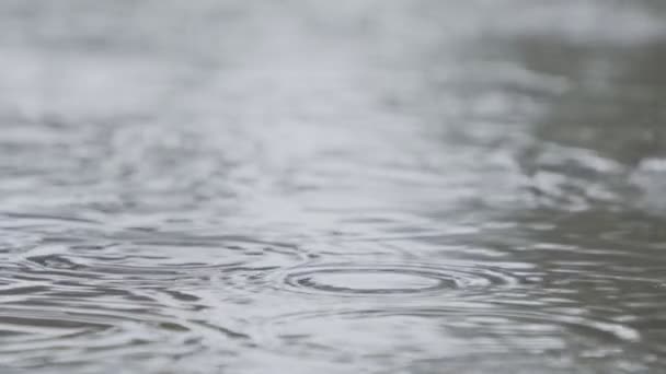 Αργή κίνηση των σταγόνων βροχής που πέφτουν σε μια λίμνη νερού με το νερό να πιτσιλάει — Αρχείο Βίντεο