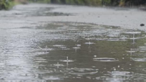 Langzame beweging van regendruppels vallen in een plas water met water spatten — Stockvideo