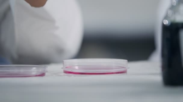 Orvosi kannabisz csepp esik Petri-csészébe egy laboratóriumban — Stock videók