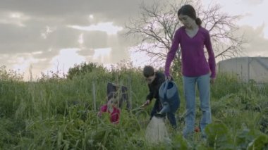 Üç çocuk organik sebze bahçesinde çalışıyor yabani otları temizliyor ve bitkileri suluyor.