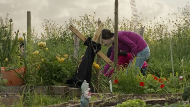 Tres niños trabajando en un huerto ecológico deshierbe y regar plantas — Vídeos de Stock