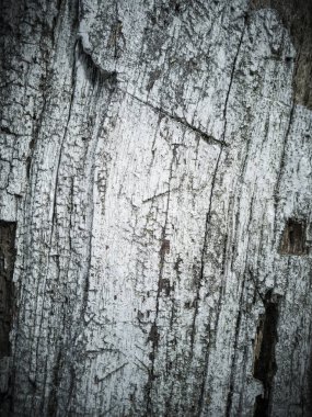 Ahşap dokunun arkaplanı gri renkle kapla