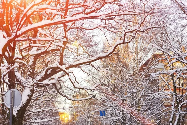 Piękny zimowy pejzaż podczas zachodu słońca. Przez rozwalony gałęzie pokryte śniegiem drzewa widoczne promienie zachodzącego słońca odzwierciedlenie w oknach domów. — Zdjęcie stockowe