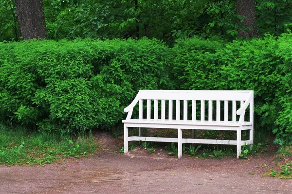 Белая деревянная скамейка в городском парке весной и деревья на ба — стоковое фото