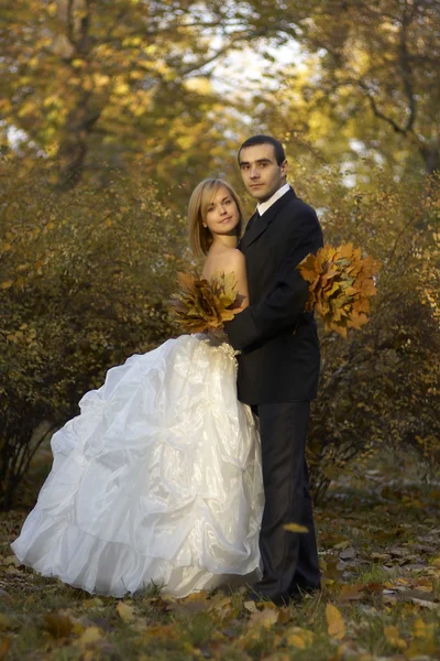 新婚夫妇在秋天的公园。美丽的已婚的夫妇在结婚那天 — 图库照片