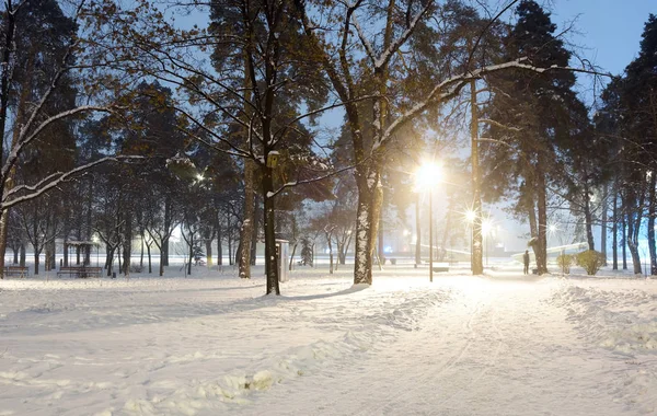kış gece park sahne
