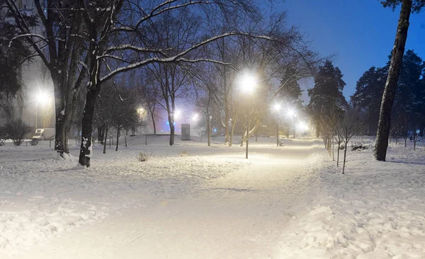 kış gece park sahne