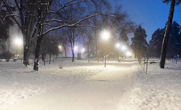 Kış gece park sahne Stok Fotoğraf