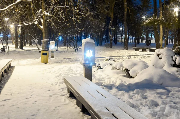 Hiver nuit parc scène — Photo