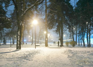 kış gece park sahne