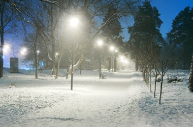 kış gece park sahne