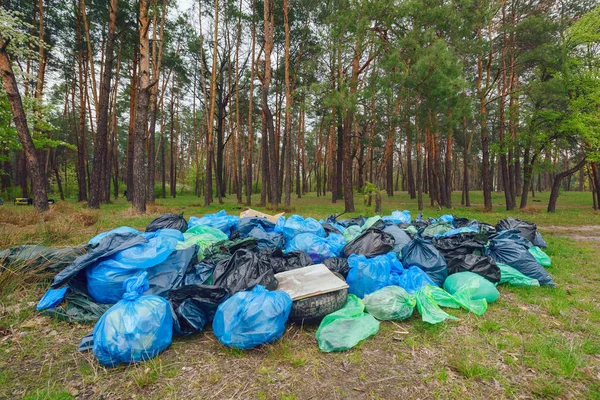 Montón de basura en un bosque — Foto de Stock