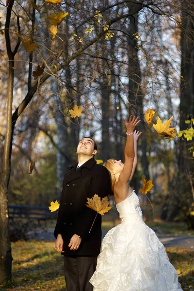 Coppia di nozze in autunno park.Married coppia nel giorno del matrimonio — Foto Stock