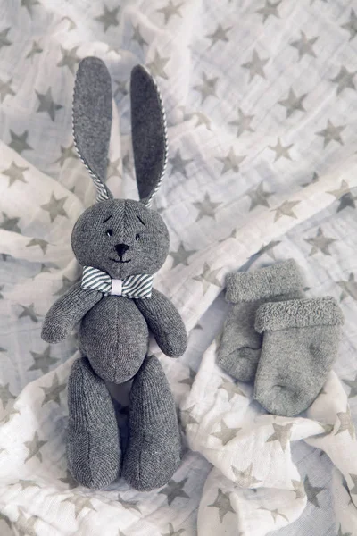 gray toy rabbit lies