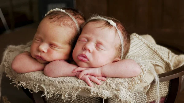 twins sisters newborn in the winding