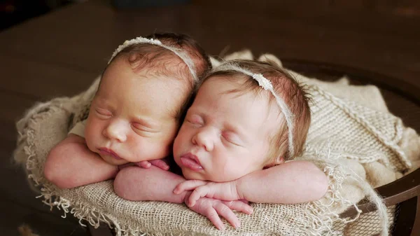 twins sisters newborn in the winding