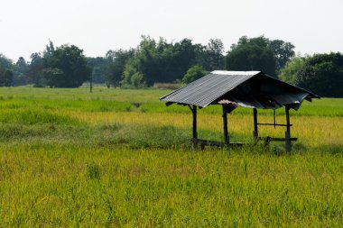 çiftçi, çiftlik eski köşk korumak güneş veya yağmur
