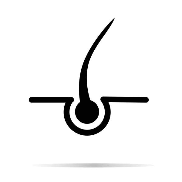 Icône de cheveux sur fond blanc. cheveux avec signe d'ombre. Symbole capillaire — Image vectorielle