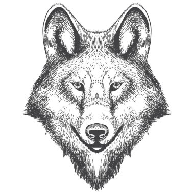 Kurt baş el drawning Illustration. Vektör çizim