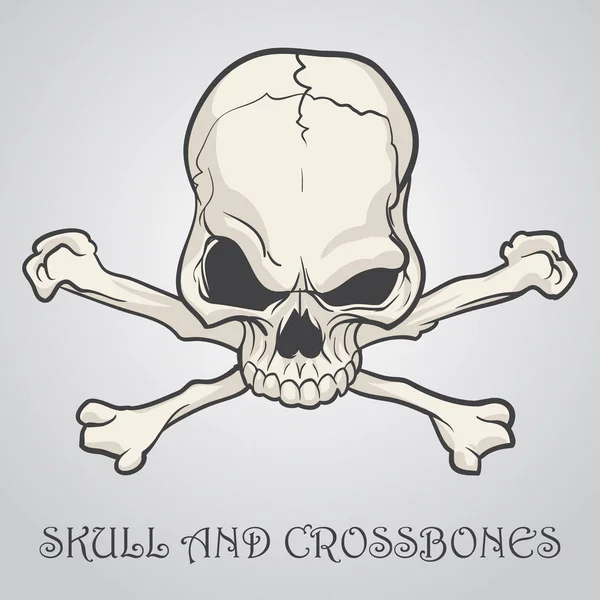 Skull and crossbones op een grijze achtergrond. Vectorillustratie — Stockvector