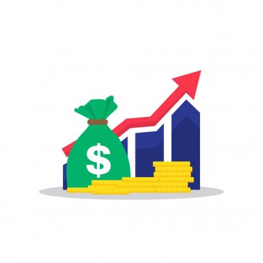 Gelir artışı, mali strateji, yüksek getirisi yatırım, bütçe dengesi, fon yaratma, uzun vadeli artış, gelir artışı