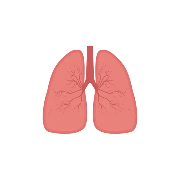 Lungs icon, flat style. Internal organs of the human design element, logo. Anatomy, medicine concept. Healthcare. Isolated on white background — Stock Vector