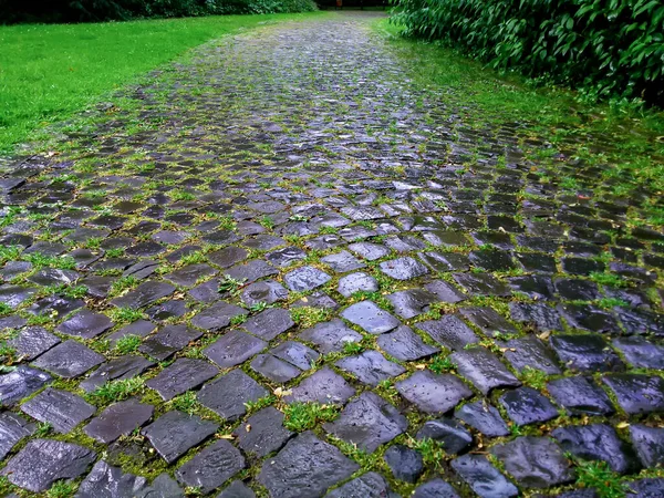 Yağmur üstüne park yolu. Fayanslardan yapılmış bir yaya geçidi.