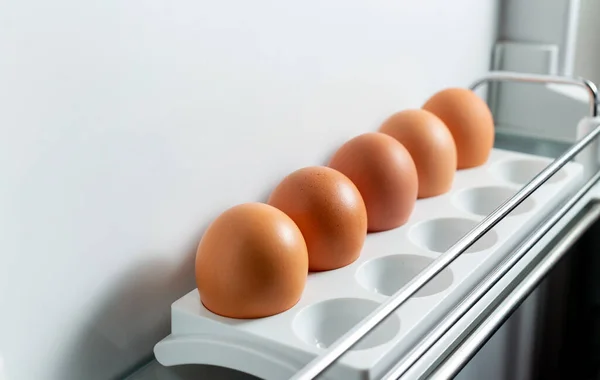 有機鶏の卵は冷蔵庫で新鮮なまま トレイの中の茶色の卵 有機鶏の卵は冷蔵庫で新鮮なまま — ストック写真