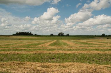 Kırsal yarı bulutlu manzara