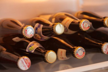çeşitli bira şişeleri bir buzdolabında yatıyor